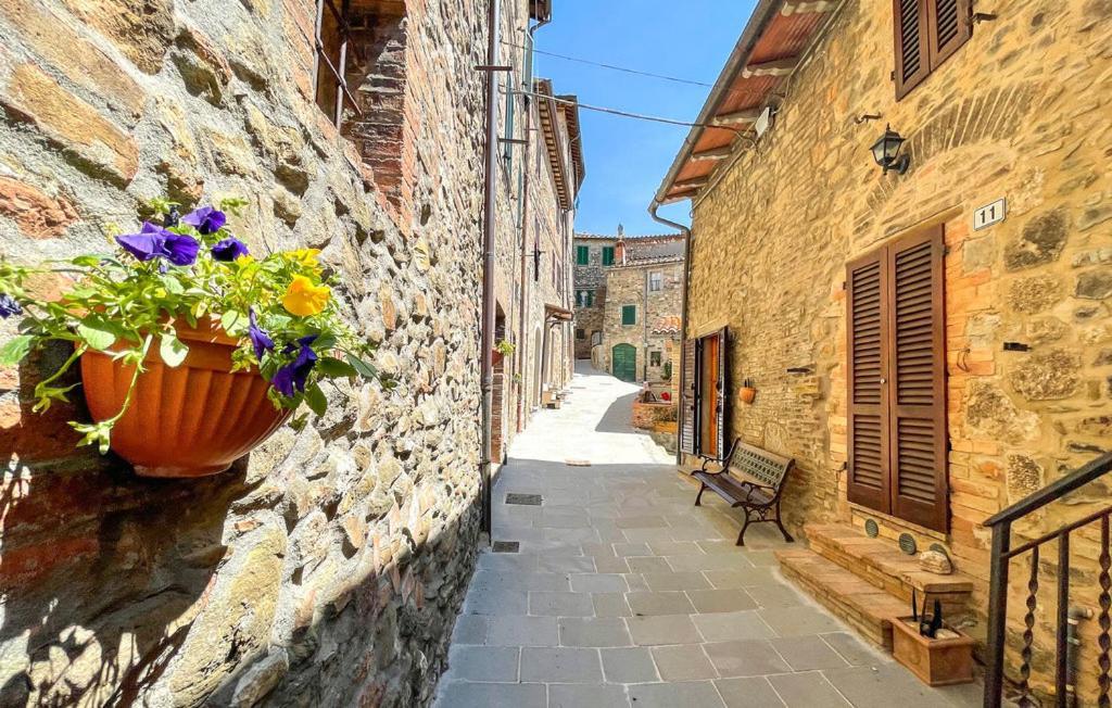 Villa Casa Maria Montalcino Exterior foto